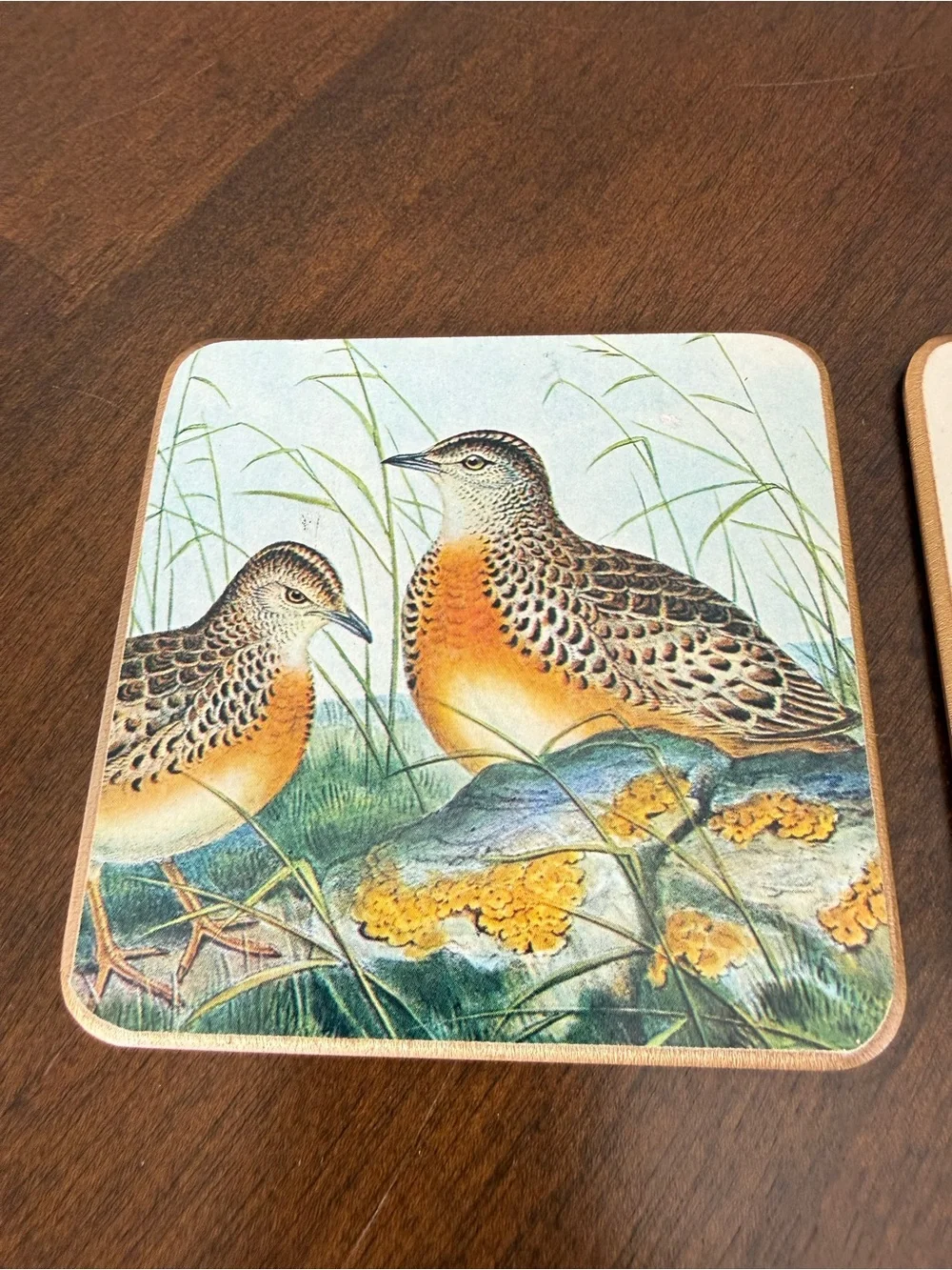 Vintage Bird Cork Back Coaster Set of 3 Cottagecore Nature Decor